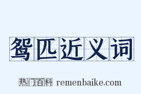 鸳匹近义词是什么意思的图片